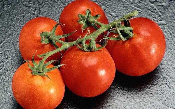 Сорта помидор выбирают в зависимости от сроков их созревания