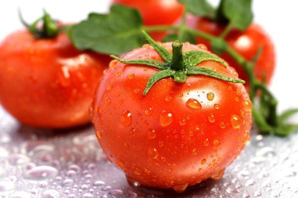 Сорт помидор следует выбирать тщательно и обдумано
