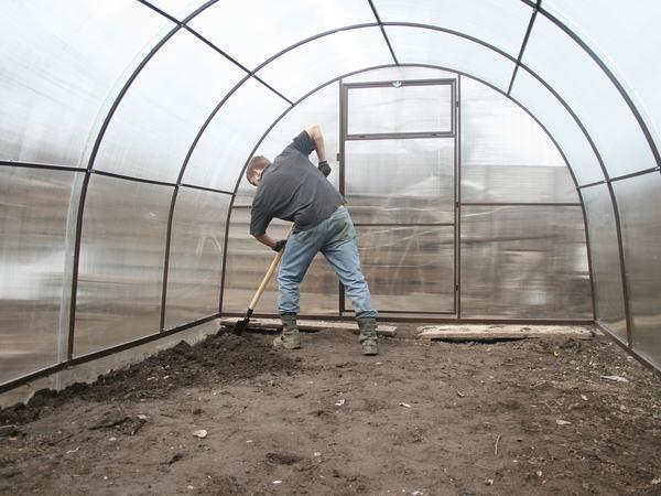 Перед посадкой растений, теплица и почва должны быть подготовлены