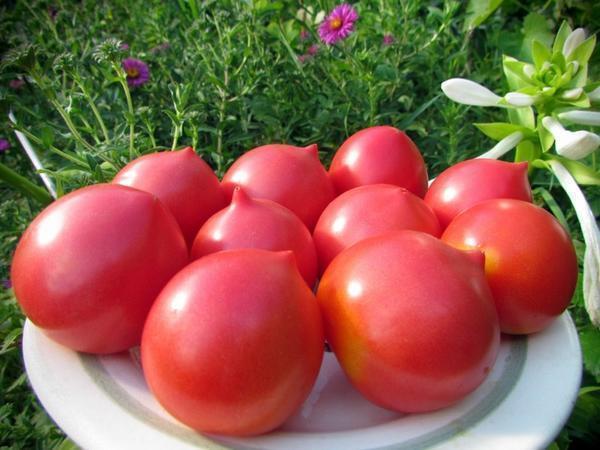 Хорошие отзывы в 2017 г получили томаты японской селекции