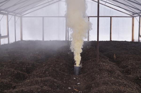 Дымовая шашка - прекрасный способ обеззаразить почву в теплице