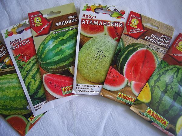 Для получения хорошего урожая арбузов на Урале очень важно правильно выбрать семена