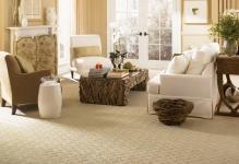 berber-carpet-in-the-living-room