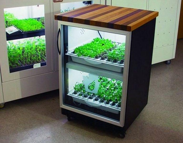 шкаф для выращивания зелени