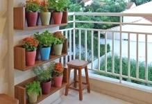 Beautiful-plants-on-the-balcony-03