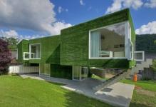 green-home-design-architect