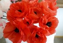 poppies-for-article