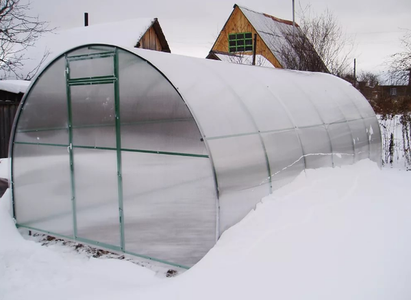 Что можно выращивать в теплице из поликарбоната зимой?