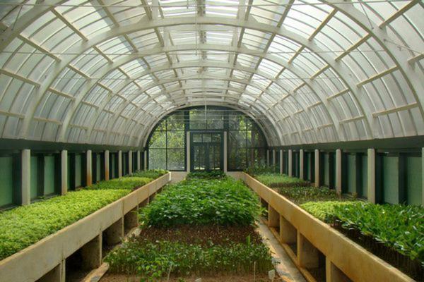 Как выращивать зелень в теплице из поликарбоната?