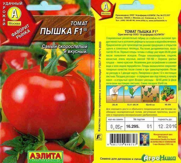 Среди овощеводов Подмосковья пользуется популярностью сорт помидоров Пышка F1