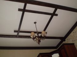 Декор потолка существенно преображает интерьер в лучшую сторону, делая его оригинальным и уютным