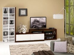 Мебель под телевизор в гостиной должна быть практичной и привлекательной
